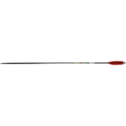 Carbon Express ATLATL Dart Kit 6' Carbon Fiber Hunting Dart - 2/Pack